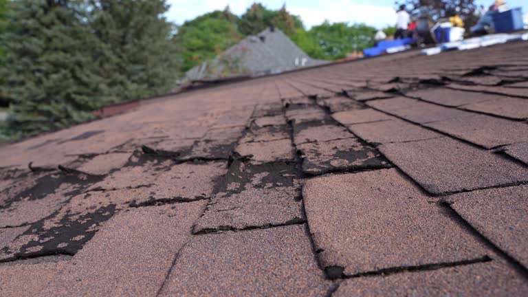 Best 4 Ply Roofing  in Dale, IN