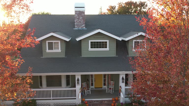 Best Roof Maintenance and Cleaning  in Dale, IN