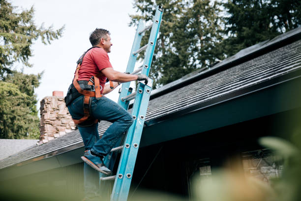 Best Siding  in Dale, IN