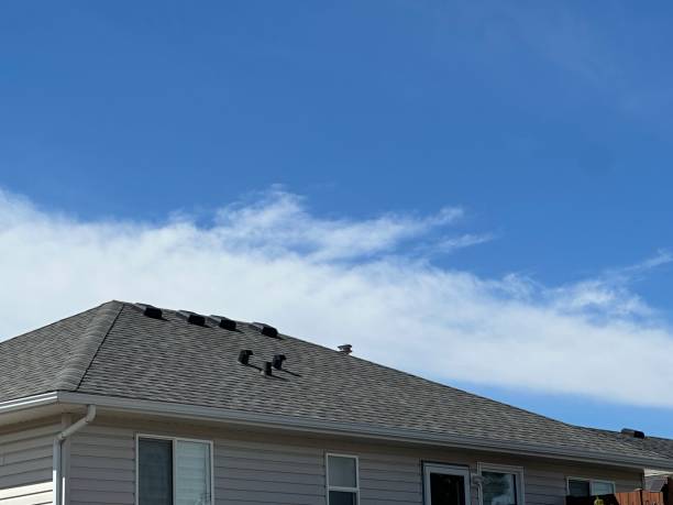Best Roofing for New Construction  in Dale, IN